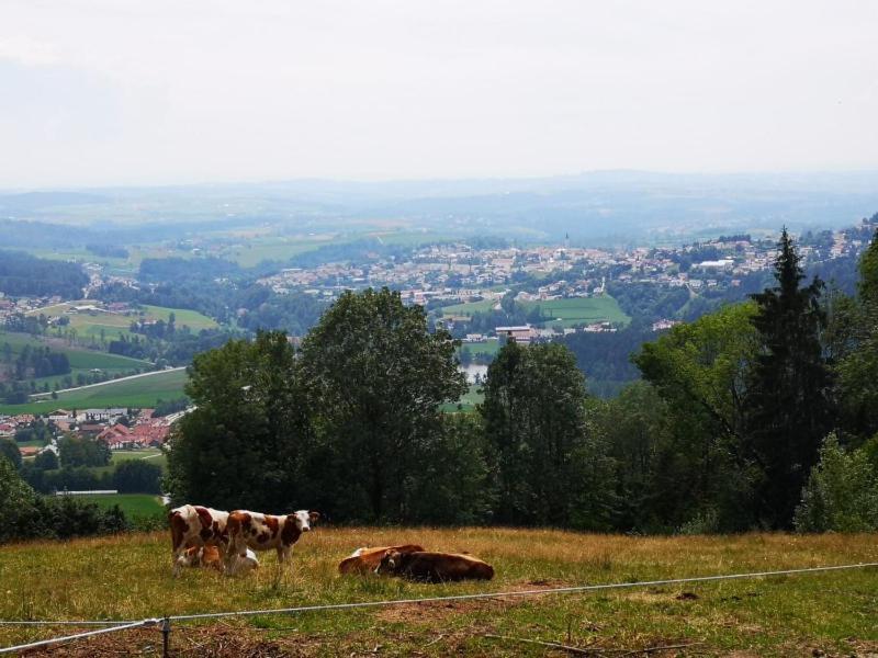Ferienwohnung Waldblick Hauzenberg Dış mekan fotoğraf